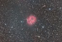 IC5146