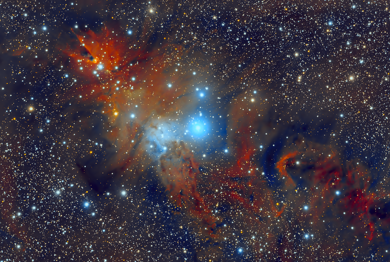 NGC2264
