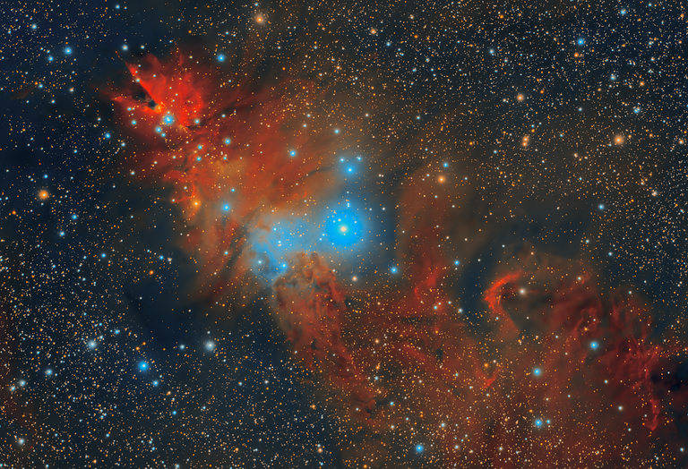 NGC2264
