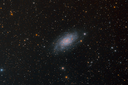 NGC2403