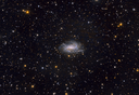 NGC925