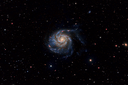 M101