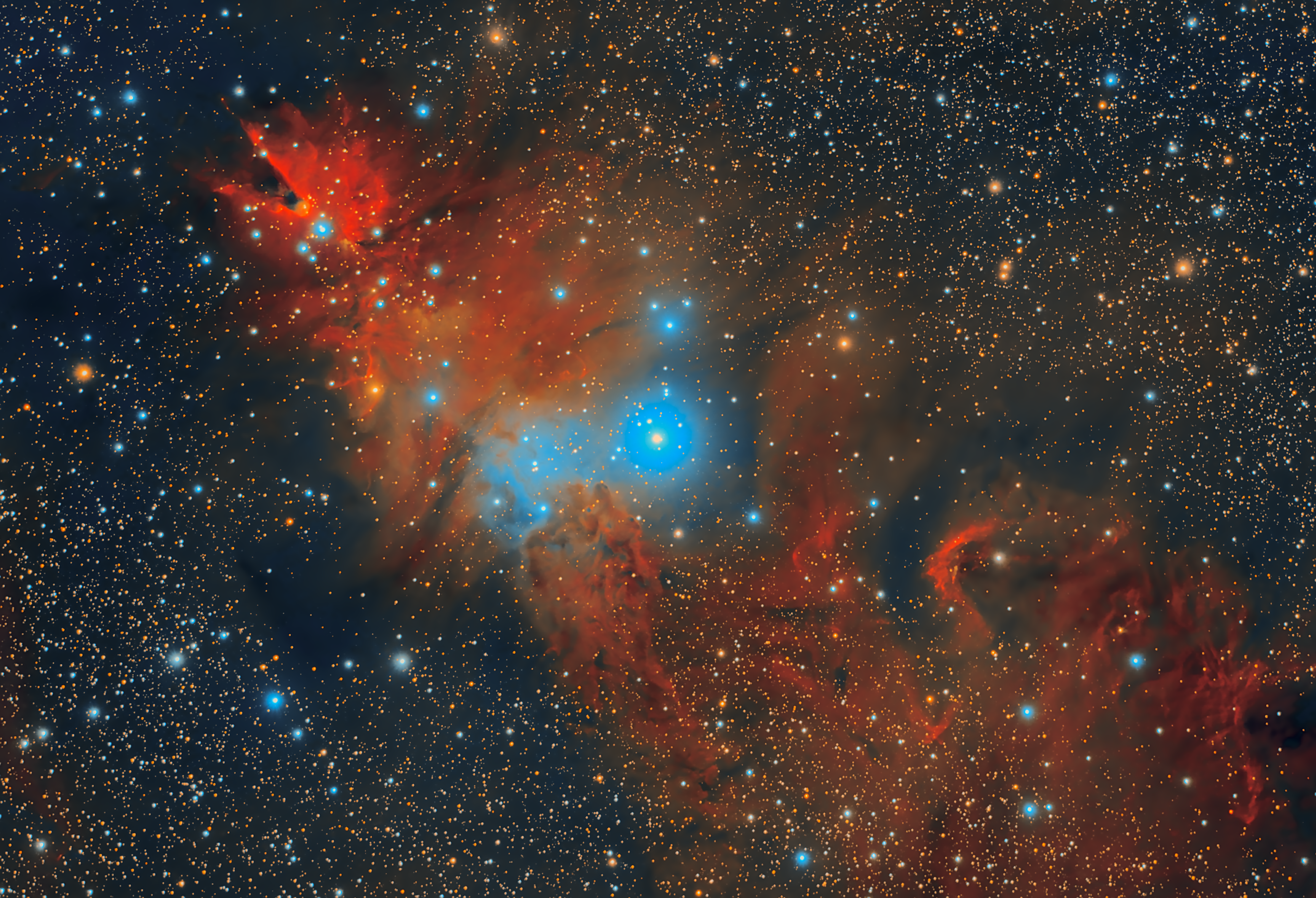 NGC2264